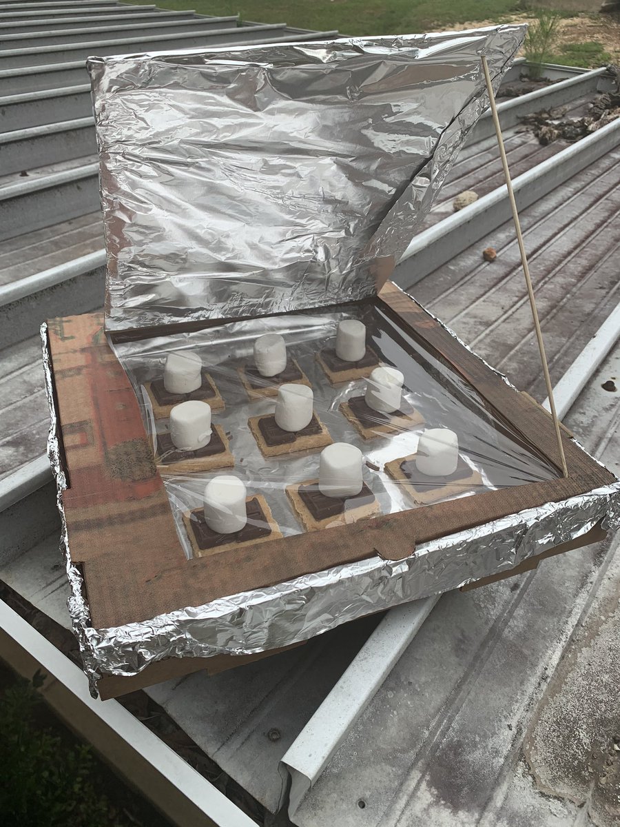 DeDe Shipp tweet media