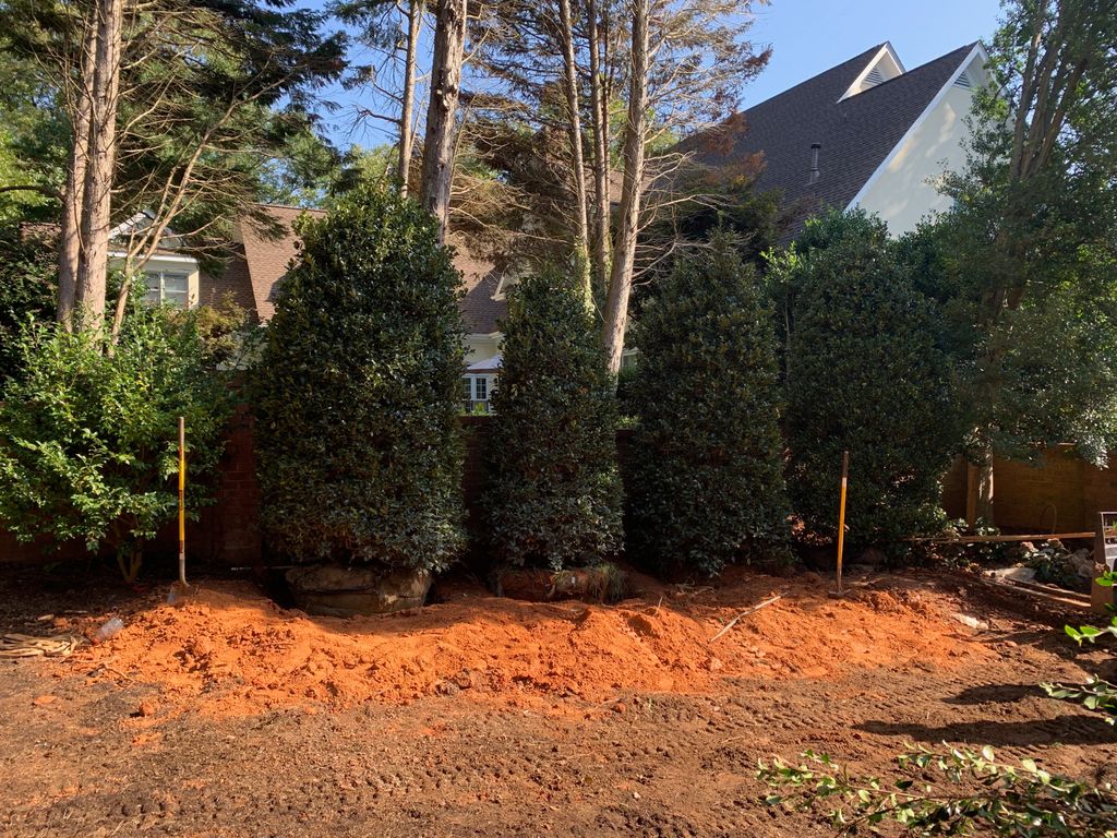 MorganLandscape's tweet photo. Do you want instant privacy? We made it happen today with these beautiful Robin Holly’s. AME crane service for the win! #september #instantprivacy #screeningtrees #robinholly #backyardgoals #homeandgarden #landscaping #charlottenc #keepingcharlottegreen #themorganlandscapegroup https://t.co/43gCDYtPg1