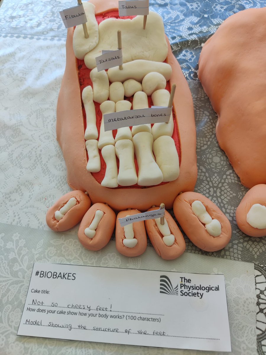 HGS_Sci's tweet photo. Year 9 pupil Saira's amazing creation has been shortlisted in the #biobakes 2020 competition by @physoc! Get voting for her "Not So Cheesy Feet"! https://t.co/ilqizuz3Y5 https://t.co/2Lp1V7pCMi
