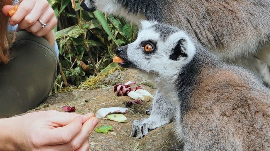 Maddie Moate tweet media