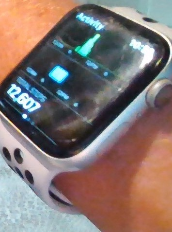 JenniferJJDavis's tweet image. By Thursday #QuaratineLife usually takes its toll on me. To turn my mood around, I've done 3 walking meetings so far today and am 12K+ steps in. Feeling better. Goal is to hit 25,000!