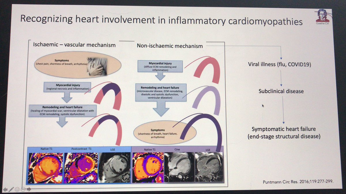 7- asymptomatic individuals also showed heart inflammation Inflammatory markers are difficult to spot and might arrive later in the disease There is a need of interdisciplinary research