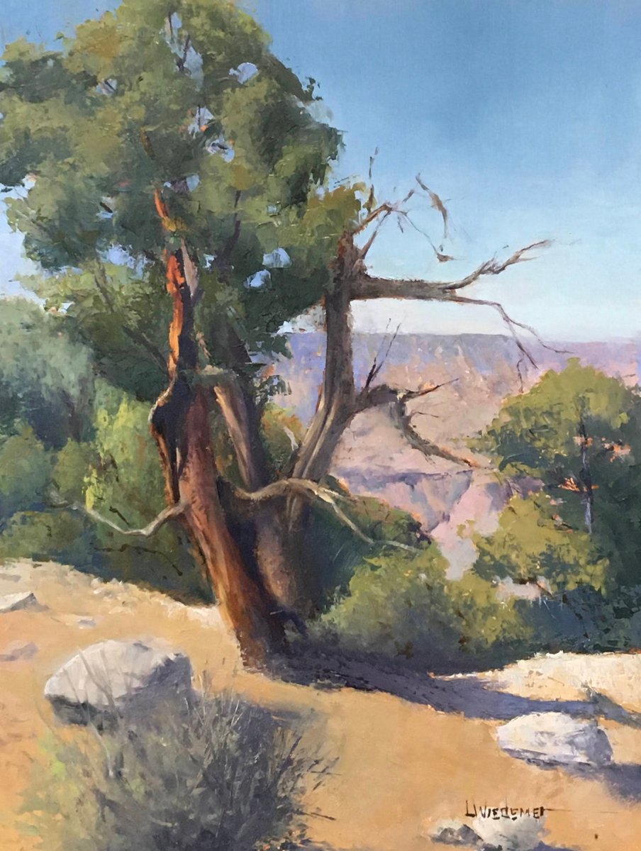 RoamingArtist's tweet photo. "Canyon Tree" #oilpainting, #grandcanyon, #southrim, #twistedtree, #boldbrush, #landscape, #nationalparks, #lwiedemer.com https://t.co/d7VDU9vZIO