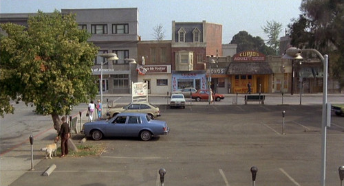By 1985 downtown Hill Valley is shown as run down. The green town square is now a parking lot. There is even an adult novelty store & the small theater is showing XXX movies. Downtowns across America had a hard time competing with another 1950's invention: The Shopping Mall.