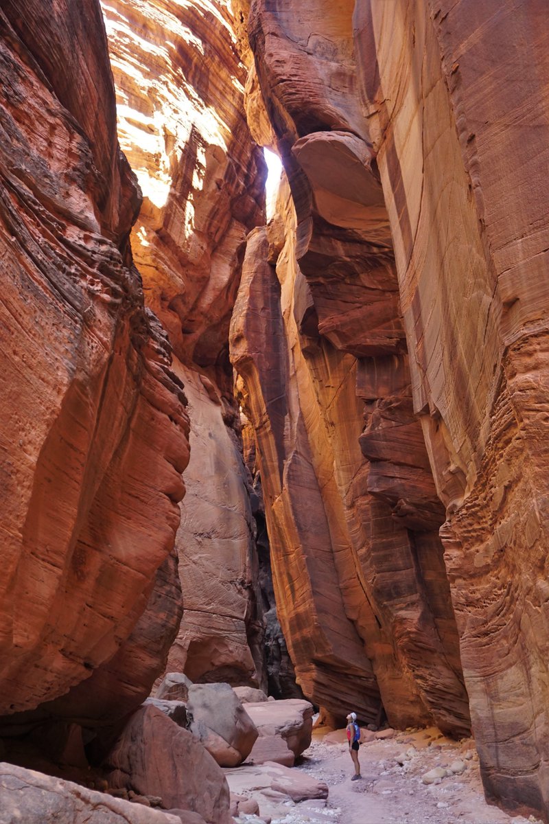 brad_murrell's tweet photo. A few photos from our day hike into Buckskin Gulch, the longest slot canyon in the world https://t.co/O8WgiTmrBm