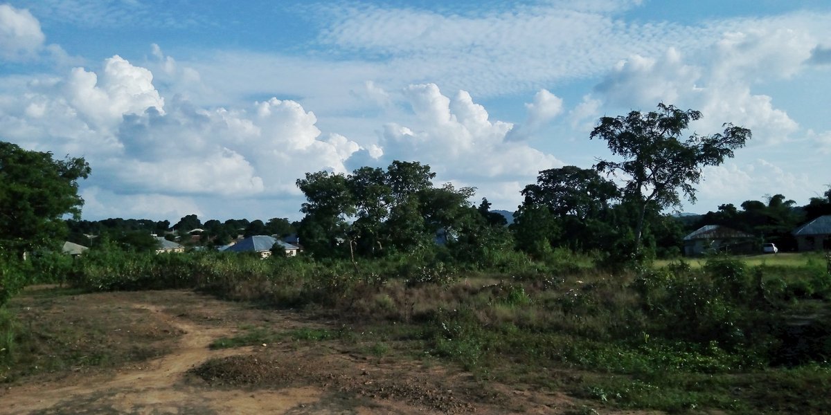 AdegbaBlessed's tweet photo. Something to bless your screen this September from me to you.
Here are my Wallpapers for Mobile phones and IPads..
πΈ: @AdegbaBlessed
#wallpapers #screensavers #mobilescreen #PHOTOS #NaturePhotography #Starzvisual https://t.co/6j3vRB1JMP