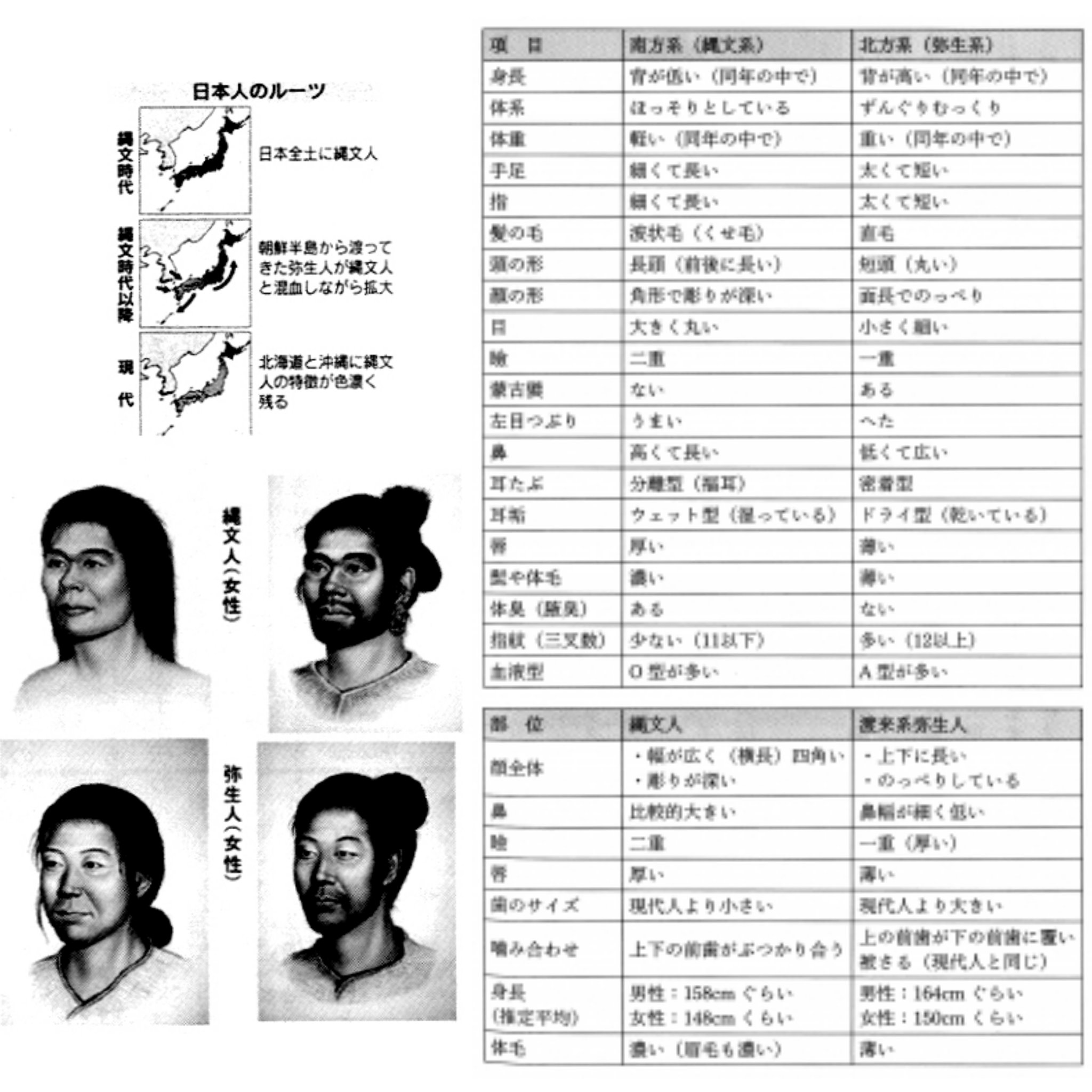 Change Before You Have To 変革せよ 変革を迫られる前に 日本人の特殊性 日本人の男性が持つyap遺伝子とは 超能力遺伝子 的な扱いをされている遺伝子なのです というのも アメリカでufoが墜落して回収されたという有名な ロズウェル