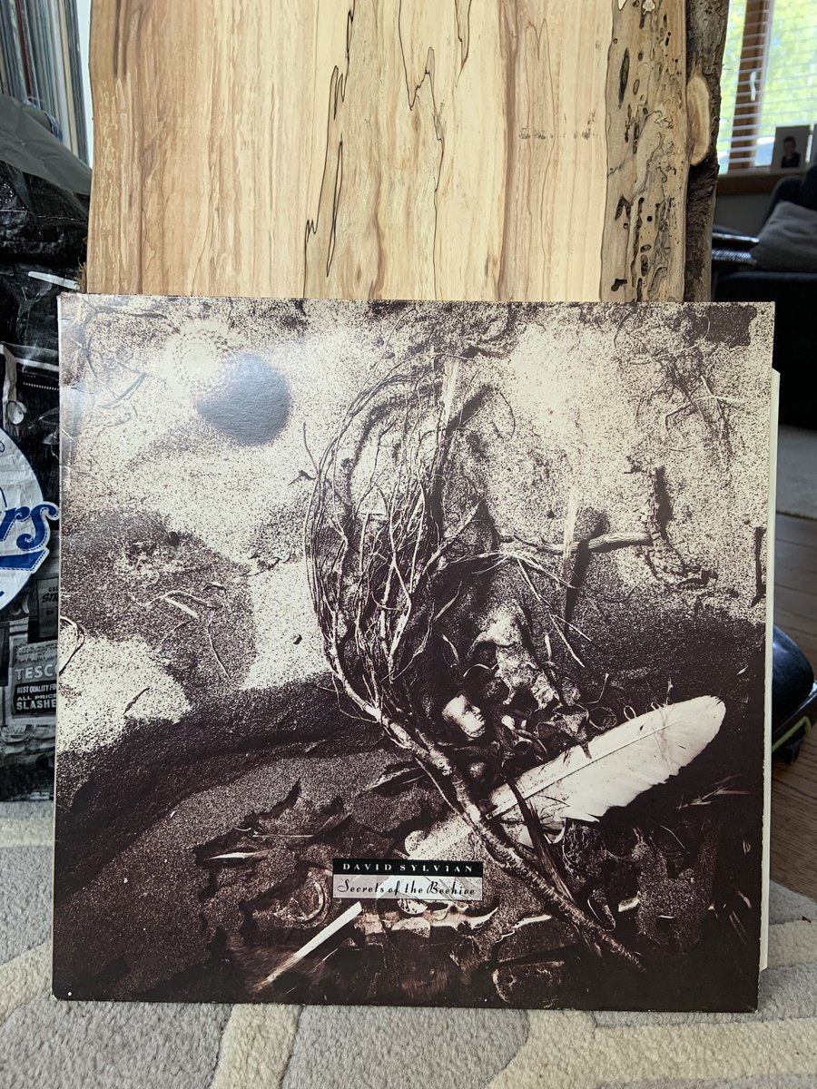herbaceouscist's tweet photo. I’ve got a spare “secrets of the beehive” by David Sylvian from my #skipfind of a few weeks ago, the vinyl is in really good nick, nearly mint I’d say, the cover is pretty good, a bit worn due to it being in a skip for a few days. Anyone want to swap for something? https://t.co/8f3p1m3juA