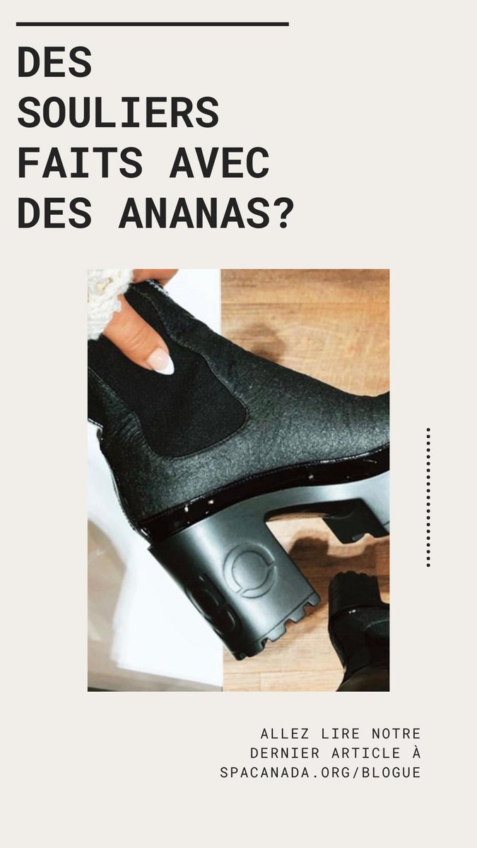 SPA_Canada's tweet photo. Allez lire notre dernier article sur notre blogue ! 

Go read our latest article on our blog! https://t.co/yGNTKWzA6B