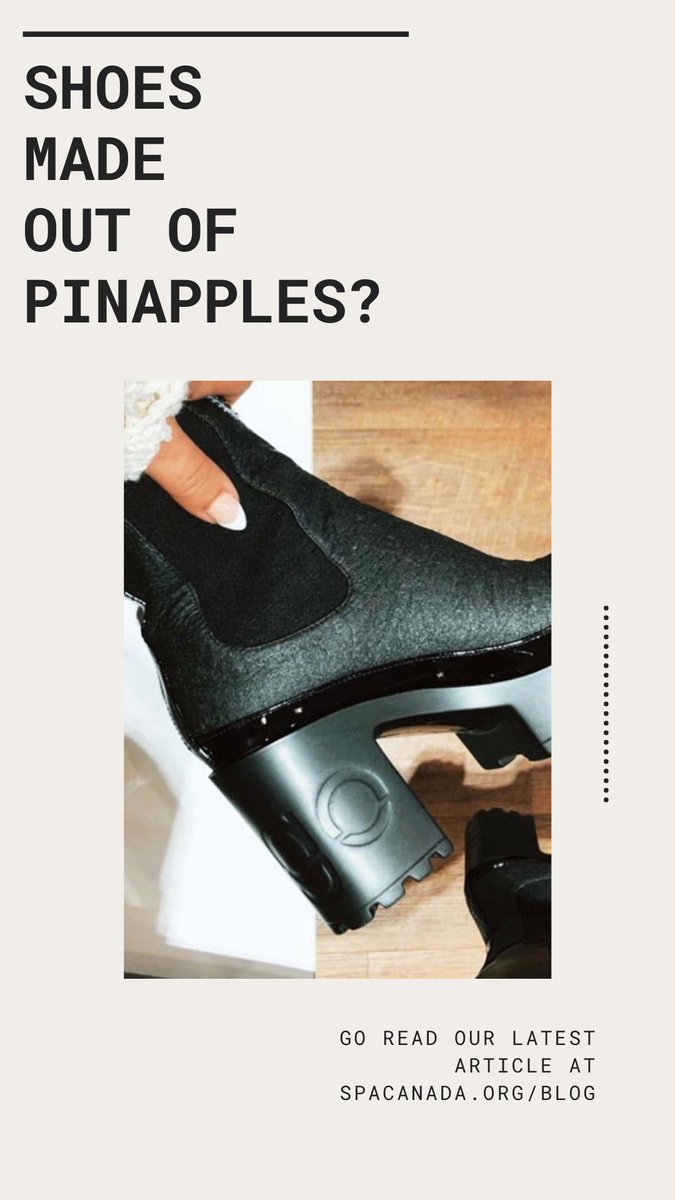SPA_Canada's tweet photo. Allez lire notre dernier article sur notre blogue ! 

Go read our latest article on our blog! https://t.co/yGNTKWzA6B