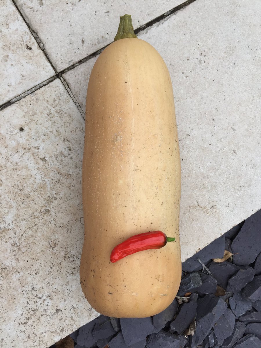Soup anyone? First “fruits” from the veg patch!