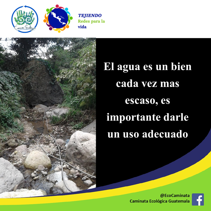 EcoCaminataGT's tweet photo. #TejiendoRedes 🌎 #AguaParaTodxs 💧

Créditos fotografía: #PaxChristiInternational, #JpicConfregua, #CODIDENA https://t.co/6zerAzXUxd