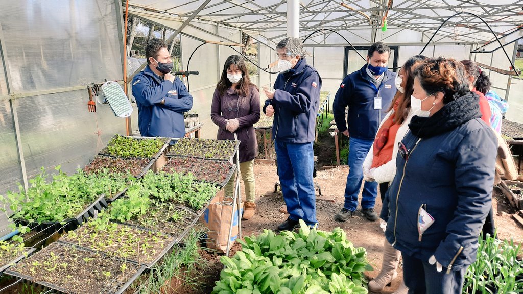 Visitamos en #Osorno junto dir. <a href="/INDAP_Chile/">INDAP_Chile</a> <a href="/crecondo/">Carlos Recondo</a> a Cooperativa de Mujeres Campesinas Silvoagropecuaria. #MujeresRurales apoyadas por #INDAP que destacan en producción de hortalizas con entrega delivery y que han innovado con implementación de huertos urbanos #ElCampoNoPara