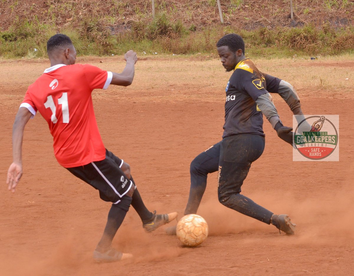 Westlandskeepe1's tweet photo. @MukolweEdwin1 @FrankKamau @AnoldOmbwayo @IWakasala30 @Bobo27606003 Great session 1v1
#safehands #westykeepers https://t.co/NFpkoloBY9