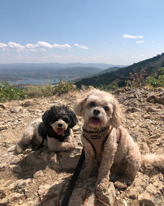 BuddyDrops's tweet photo. Double Trouble. #mybuddydrops https://t.co/ixpMM9lWrc