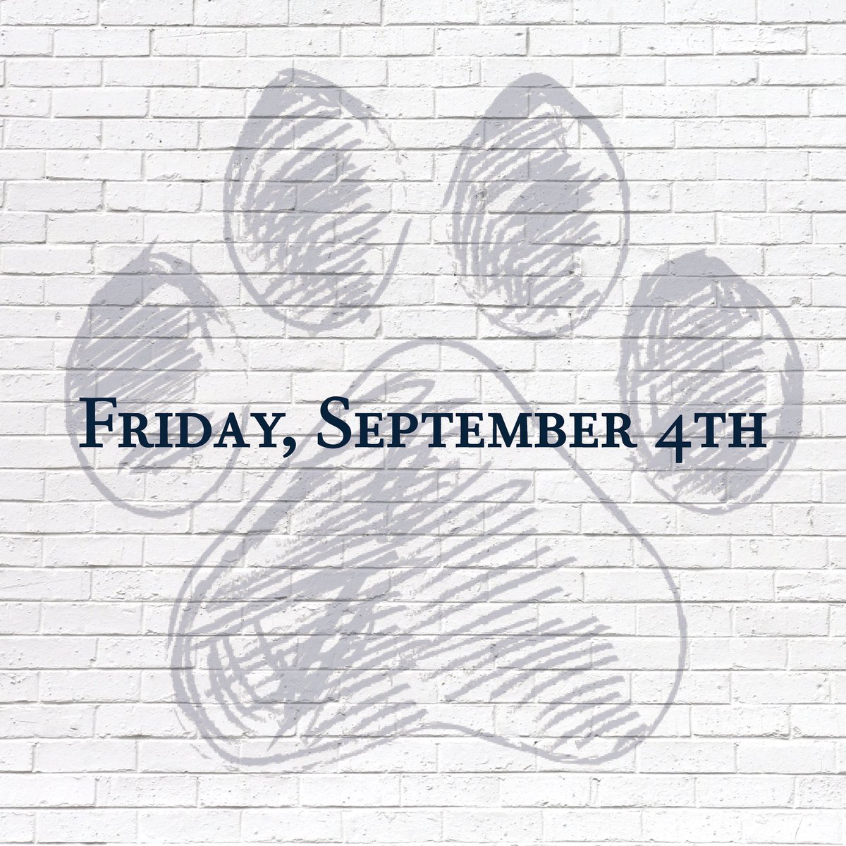 SwilledDog's tweet photo. HUGE NEWS ๐จ Big announcement coming tomorrow! Get ready because we are about to to go real top rope ๐๐ป๐พ and no Brooke will not be jumping off the top rope while stone colding two ciders...would be sweet though! #GetSwilled https://t.co/YDeRUOrvMT