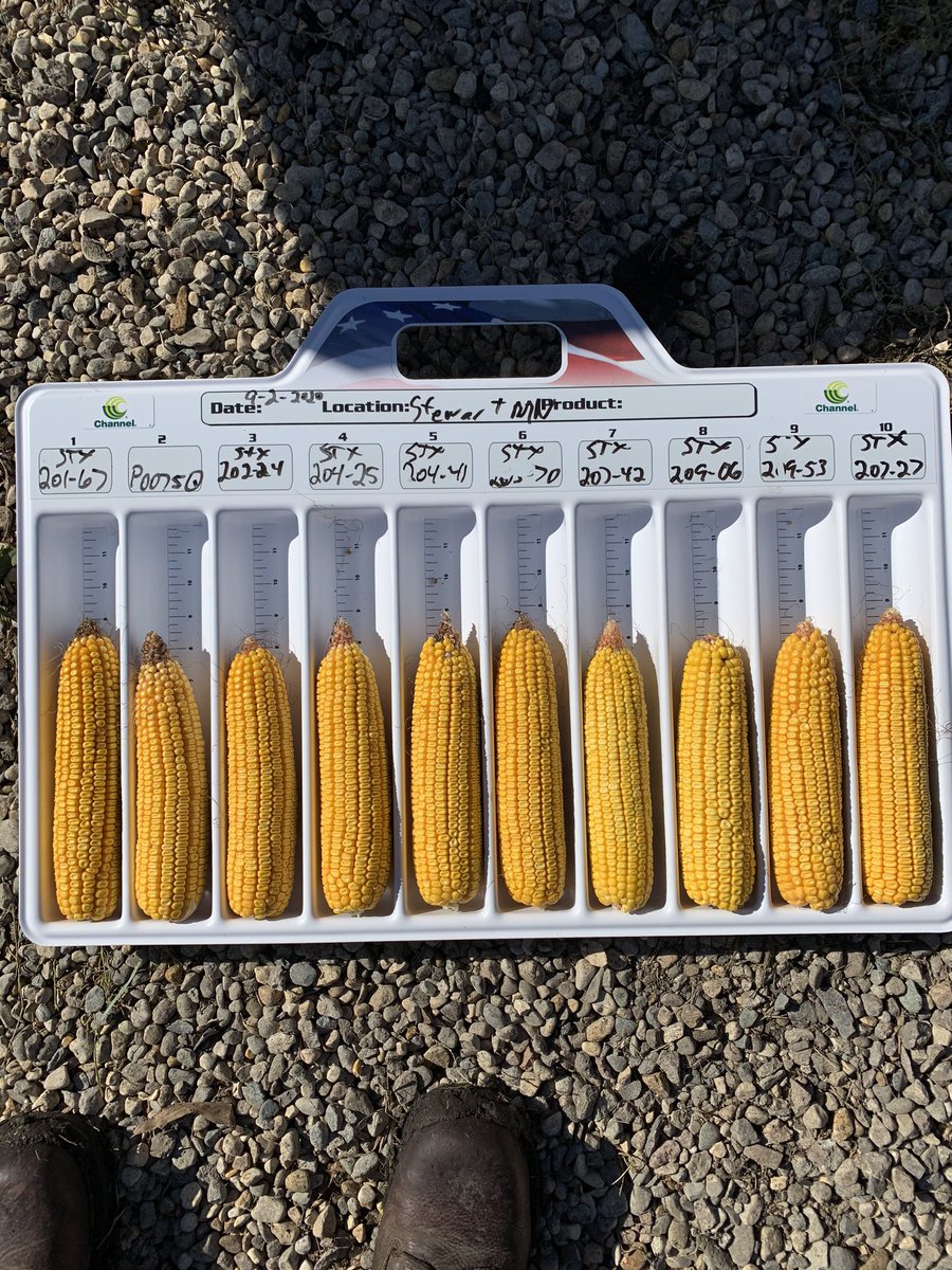 Keith Lendt tweet media