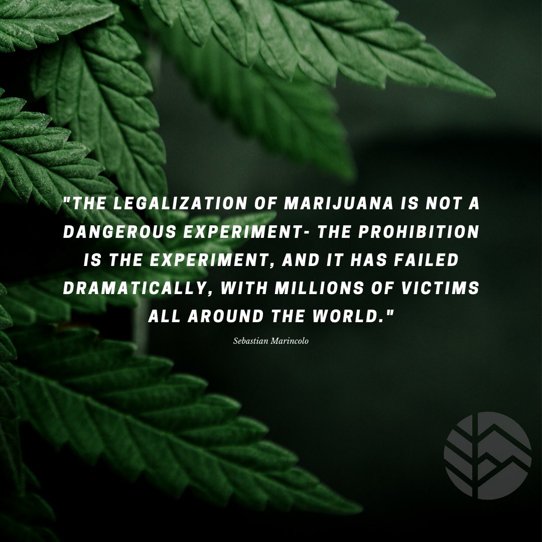 amavicollective's tweet photo. #legalizenature https://t.co/9lA1c7hzWt