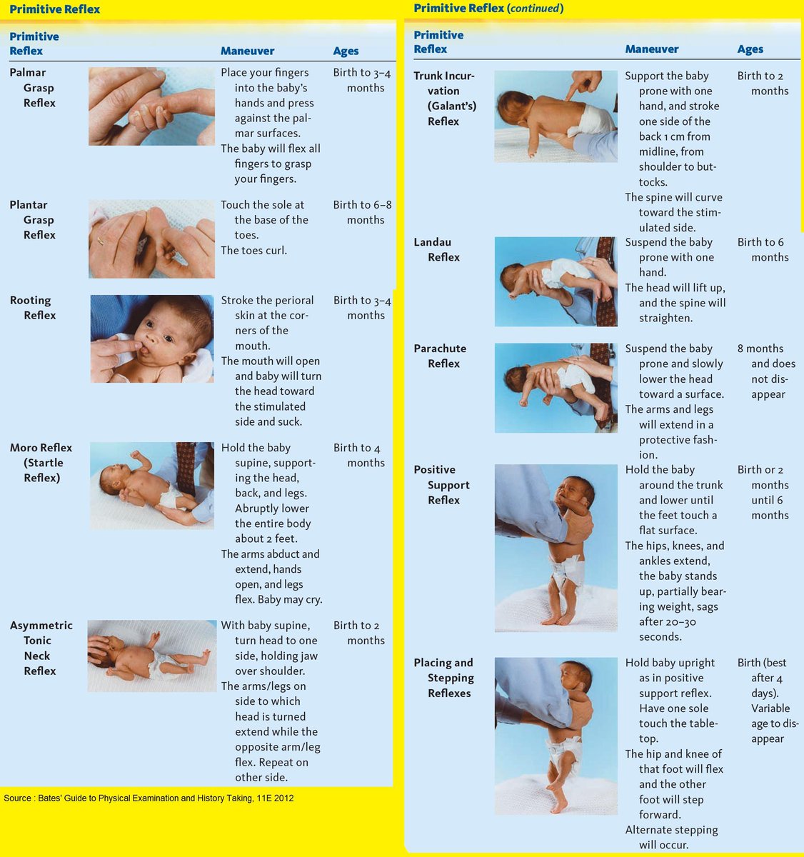 Physio_Graphic's tweet photo. (Primitive reflexes) ๐ถ
ุตูุฑุฉ ุชุดุฑุญ ุทุฑููุฉ ุงุฎุชุจุงุฑ (reflex) ููุงุทูุงู ู
ุน ุงูููุช ุงูุฒู
ูู ูุธููุฑู ูุงุฎุชูุงุฆู.
#peditrics https://t.co/rEBYDo1t7T