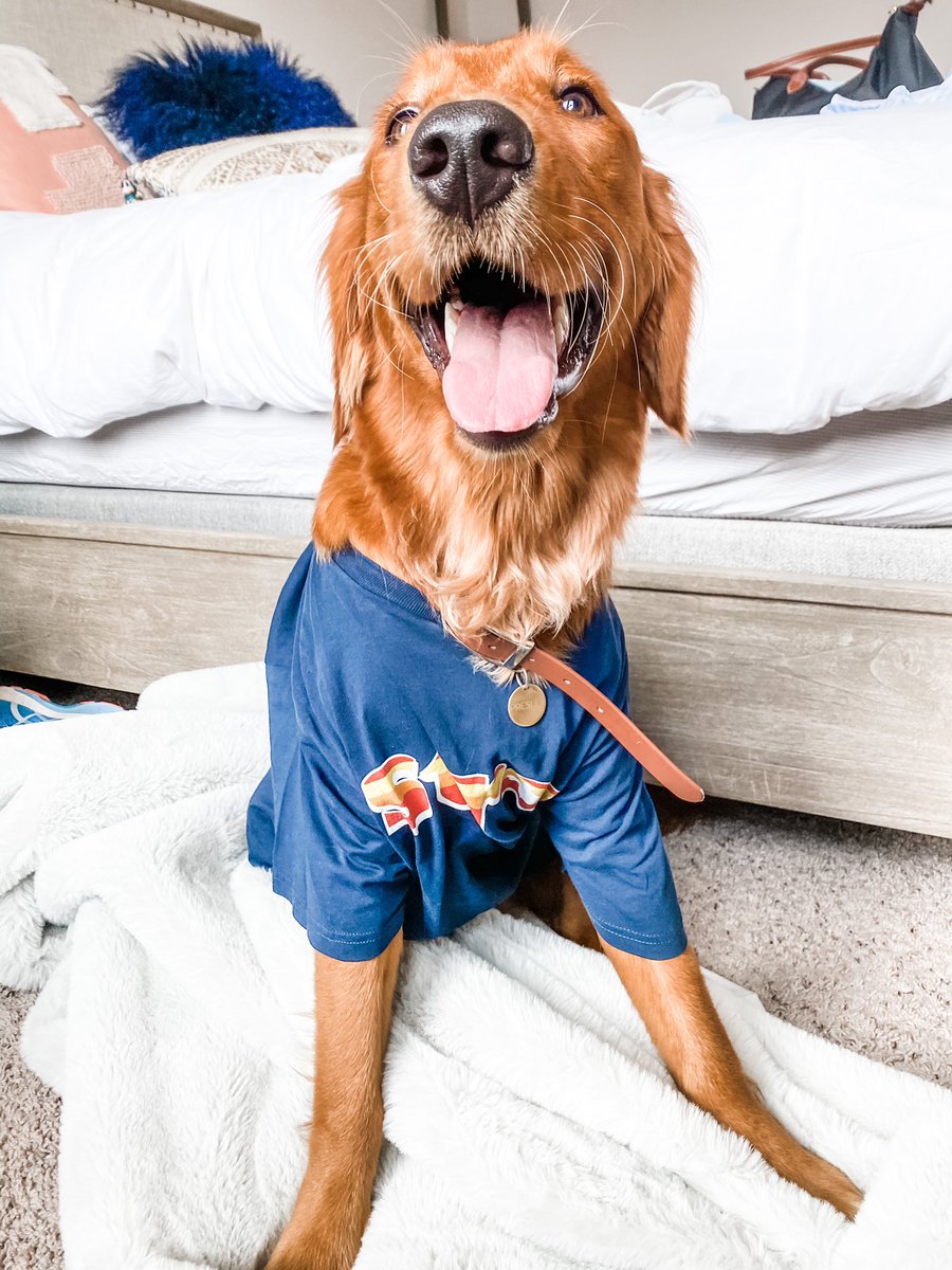 sabrinangelo1's tweet photo. @ATTSportsNetSW #strosdogs #fortheh #astros https://t.co/VWGcfeW95Q