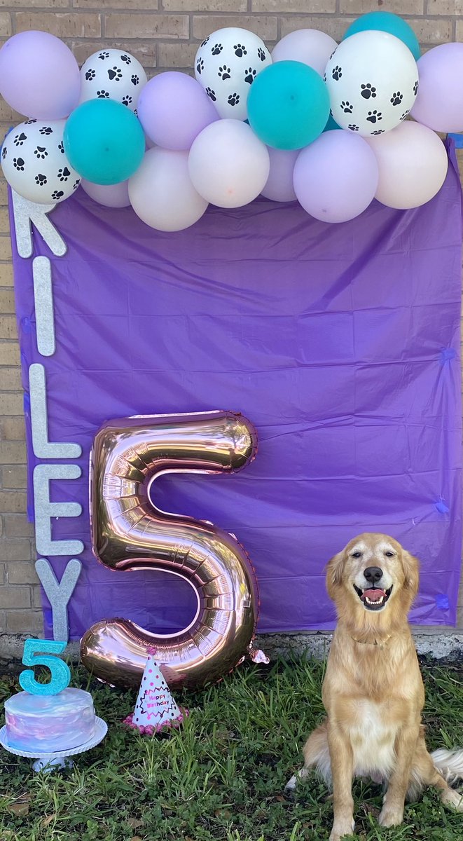 AndreaLyn12's tweet photo. Happy Birthday Princess Riley! 💕  Mom loves you so very much! https://t.co/hu2u5feMOP