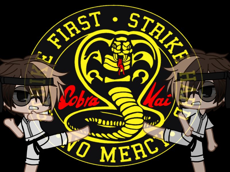 BlackDragonGa16's tweet photo. #GCBack2School
who liked to practice some karate after school?
i cant wait for season 2 of cobra kai on Netflix https://t.co/3JeoLtkefX