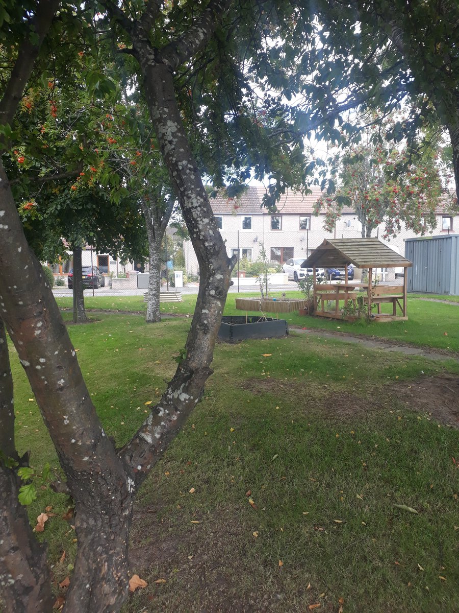 SeafieldHT's tweet photo. Beautiful Autumn day to meet and greet our pupils ๐ Fresh air lovely on a Thursday #dataday ๐ค Scrutinising #deepdatadive ๐ง #raisingattainment ๐ https://t.co/NbpMGWmXYY