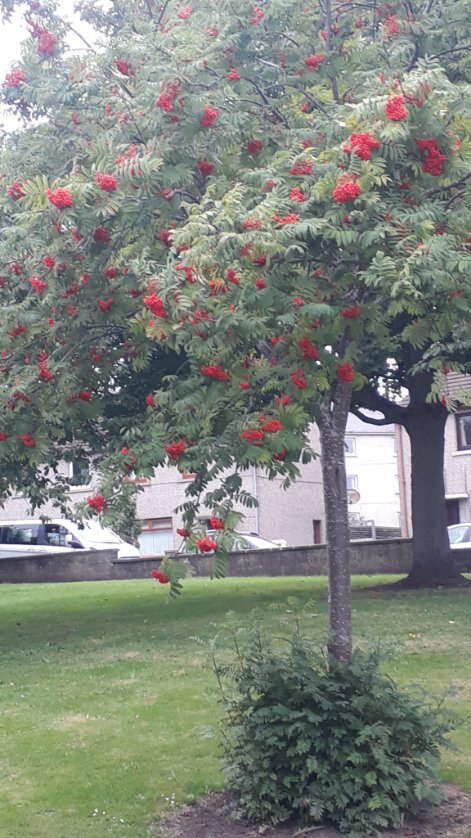 SeafieldHT's tweet photo. Beautiful Autumn day to meet and greet our pupils ๐ Fresh air lovely on a Thursday #dataday ๐ค Scrutinising #deepdatadive ๐ง #raisingattainment ๐ https://t.co/NbpMGWmXYY