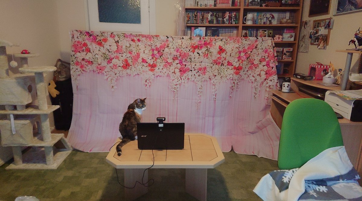 ChibiChikoChan's tweet image. Haha, Testaufbau für den Stream. XD #ConLine20 #Connichi