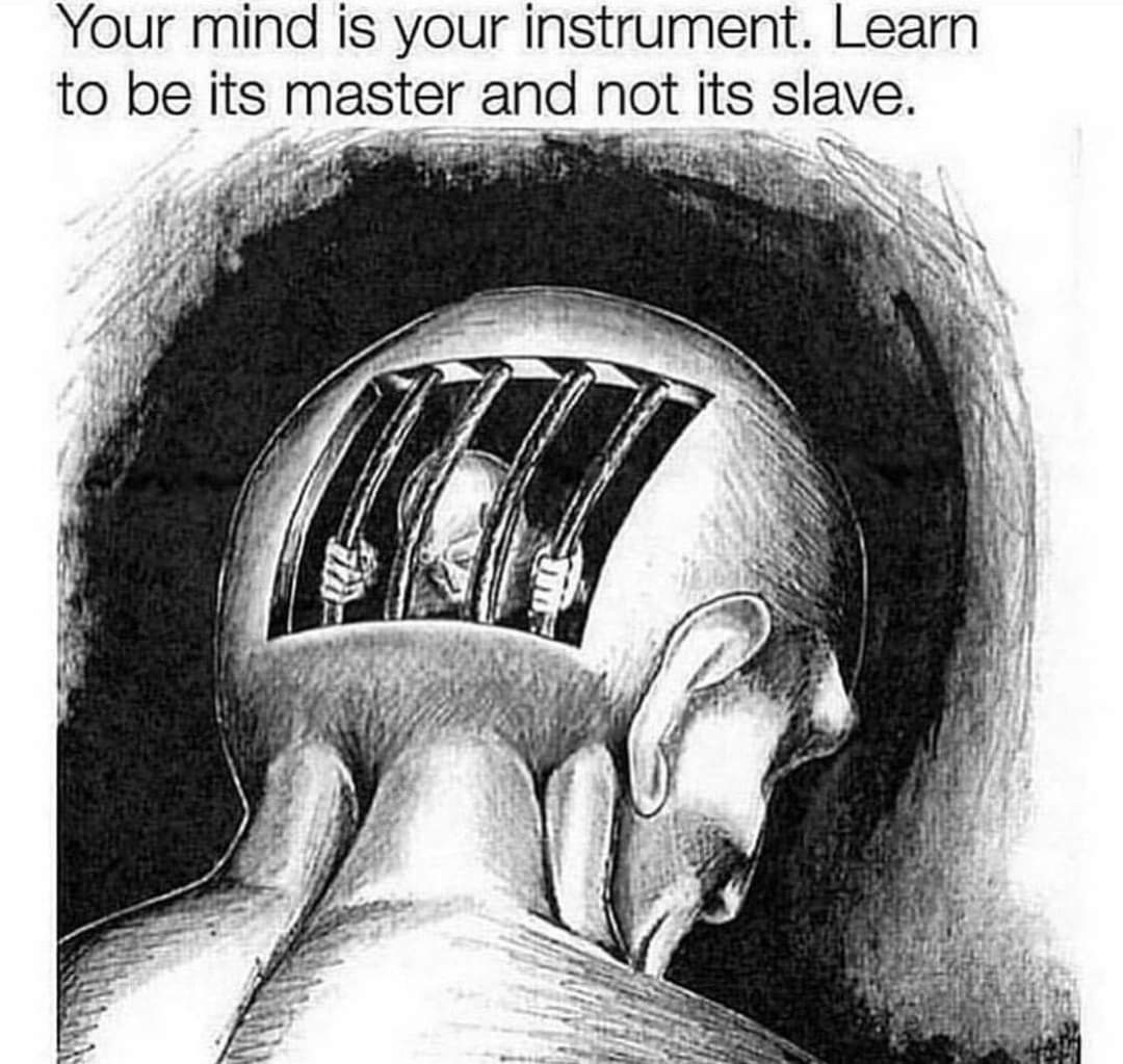 The Idealist (@theidealist_org) on Twitter photo 