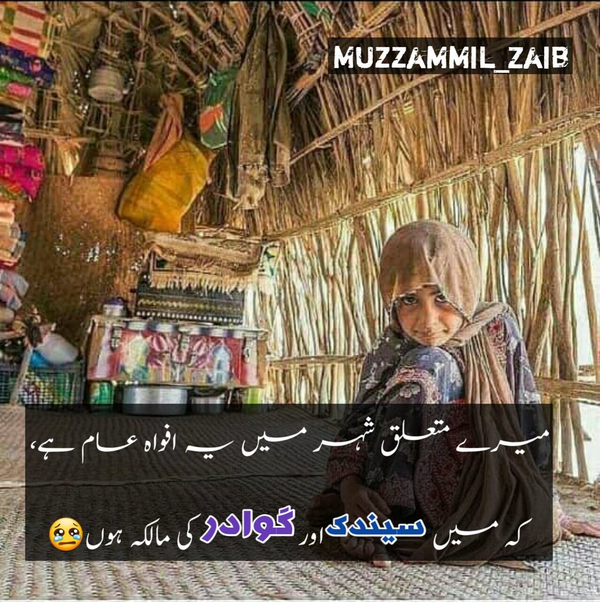 MuzzammilZaib's tweet photo. میرے متعلق شہر میں یہ افواہ عام ہے،
 کہ میں سیندک اور گوادر کی مالکہ ہوں😢
#Senator_Baloch https://t.co/lP2oTDlm42