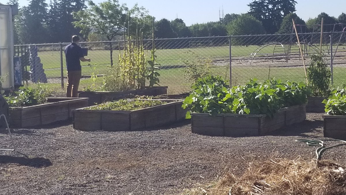 Mike Anderson, Ed.D tweet media