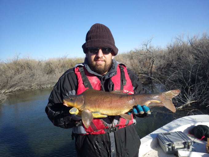 Joel Corush tweet media