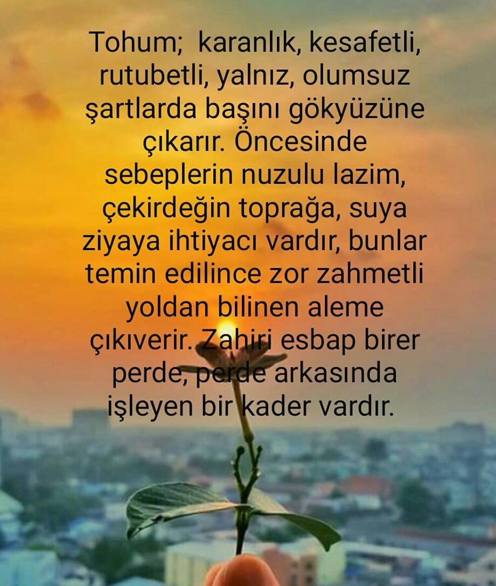 Yasemin (@yasemintash) on Twitter photo 