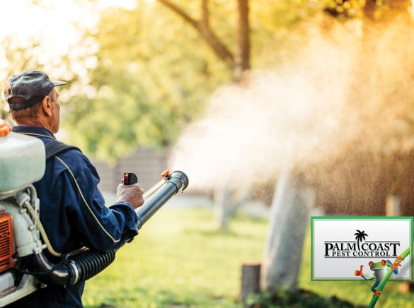 PalmCoastPestCo's tweet photo. Trying to enjoy the day outside but pesky #mosquitoes won’t leave you alone? You won’t have that problem with our #mosquito misting or our #In2Care mosquito traps. Call today for more information! 561-575-4005 https://t.co/FxjbaBW235