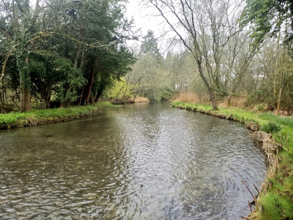 Blacky_Himself's tweet photo. Believe it or not, this is fixed-point photography. The same river 1 year after restoration work #ChalkStream #Habitat #RiverRestoration #biodiversity 
(the new bridge is not my work!) https://t.co/4mMIRkXAev