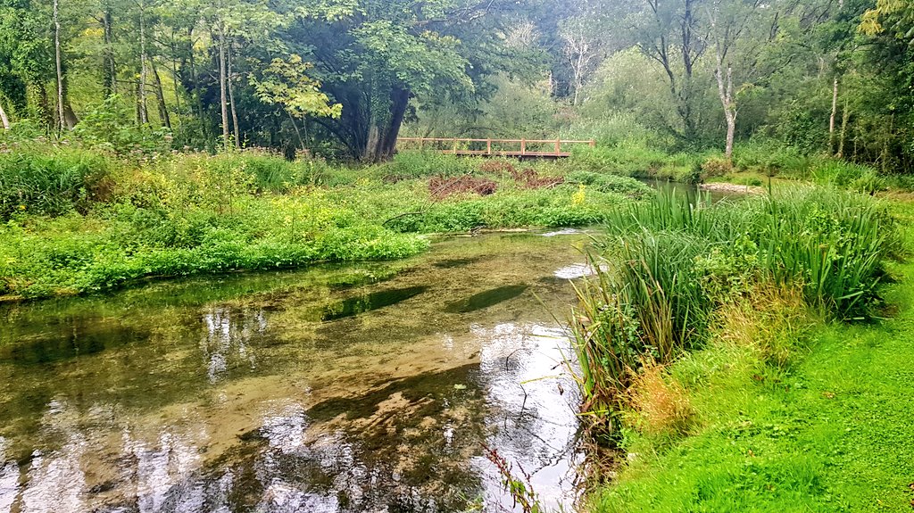 Blacky_Himself's tweet photo. Believe it or not, this is fixed-point photography. The same river 1 year after restoration work #ChalkStream #Habitat #RiverRestoration #biodiversity 
(the new bridge is not my work!) https://t.co/4mMIRkXAev