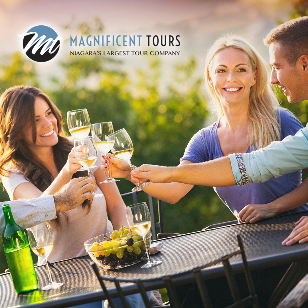 MagTours tweet media