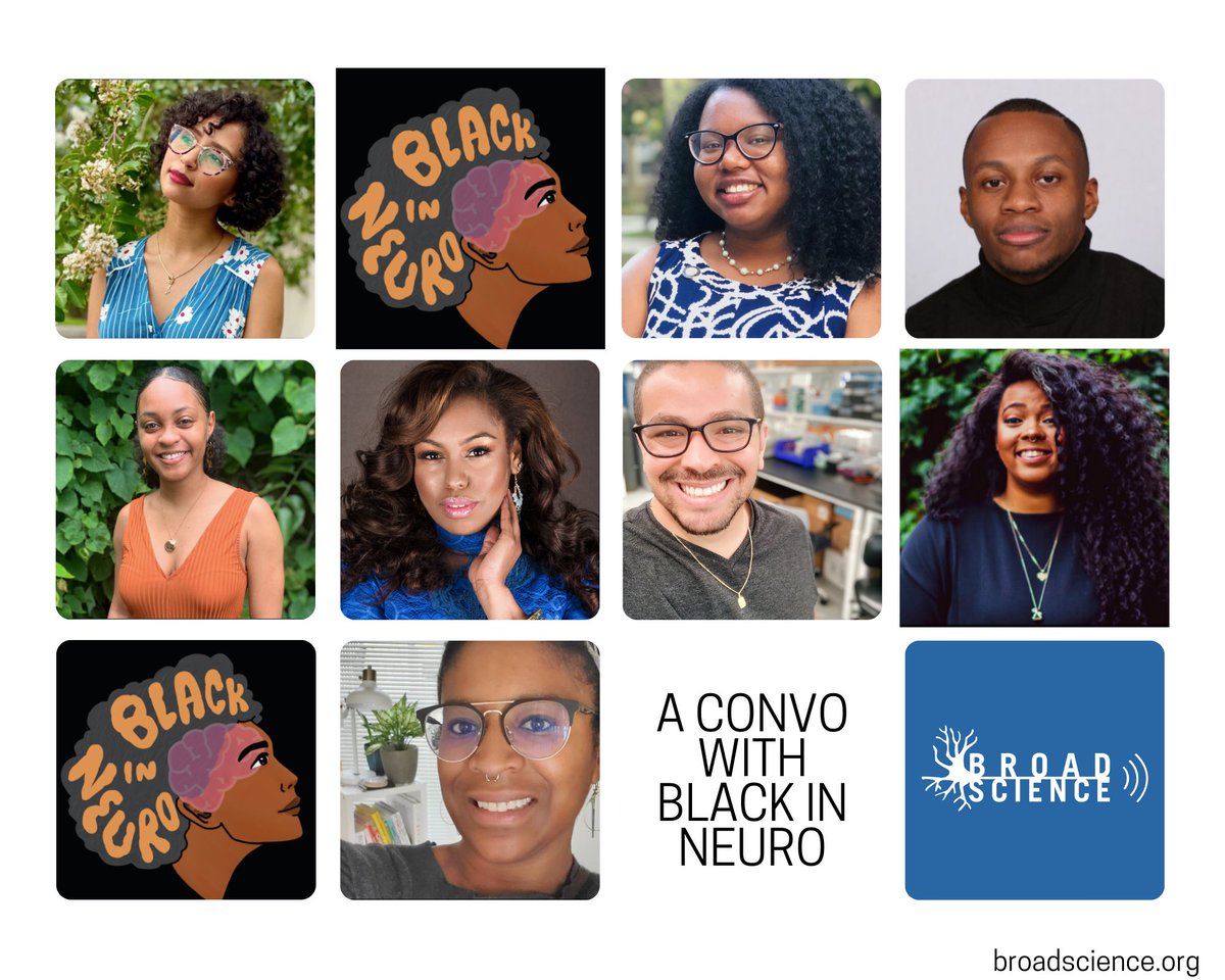 Broad Science (on hiatus) tweet media