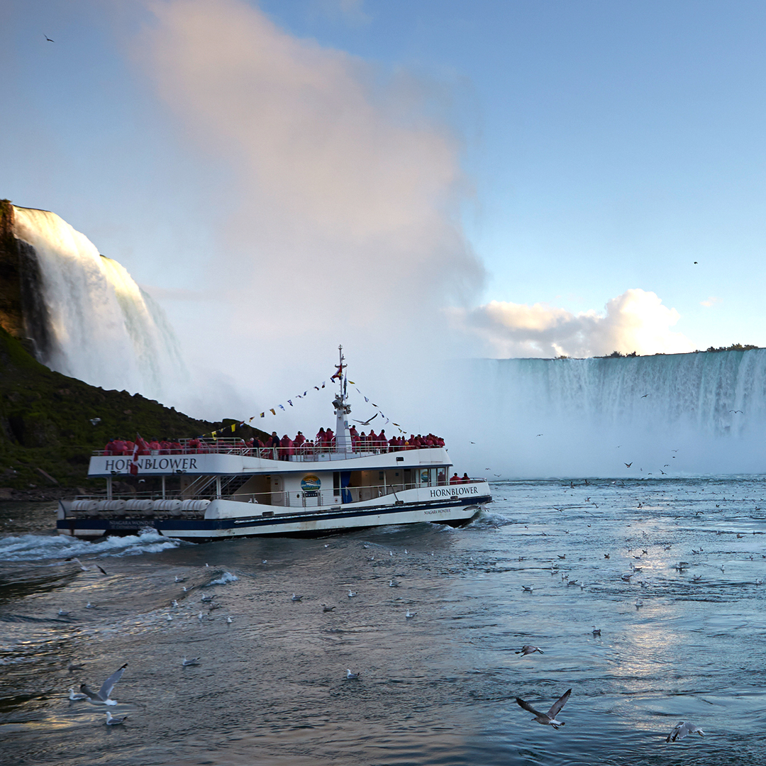 MagTours tweet media