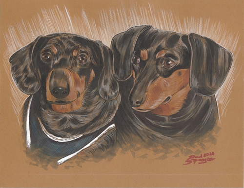 Pet portrait for client = recent work -- getting ready to work on another pet portrait very soon