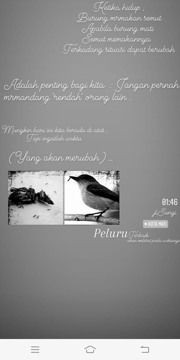 _jlsunyi's tweet photo. 🍃 https://t.co/PdITnYpUdm