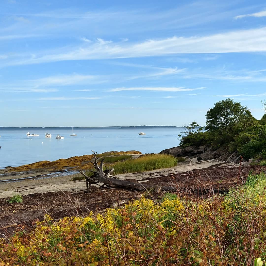 mellanella's tweet photo. Summer is great and all that, but this is the best time to live on the island. #chebeague #islandlife https://t.co/BS5EW4h1A3