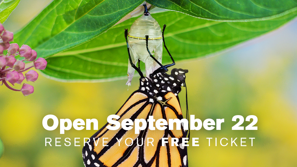We’ve missed you and we’re so excited to welcome you back onsite beginning Sept. 22! Visit naturalsciences.org/open to reserve your free timed ticket, learn about our new hours and safety measures, and view the exhibits we'll have open. Plan your trip today!
