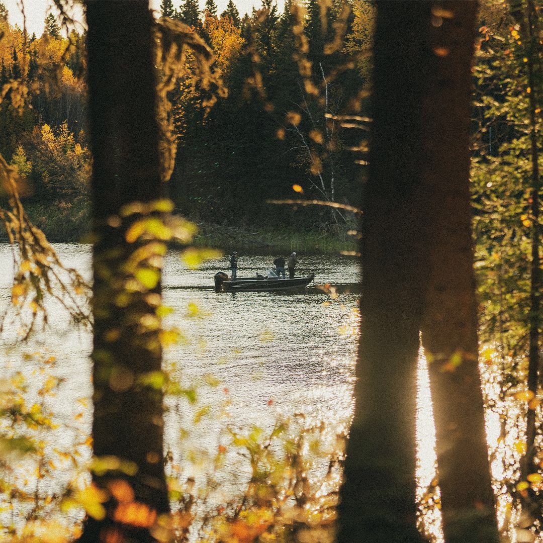 Old Milwaukee tweet media