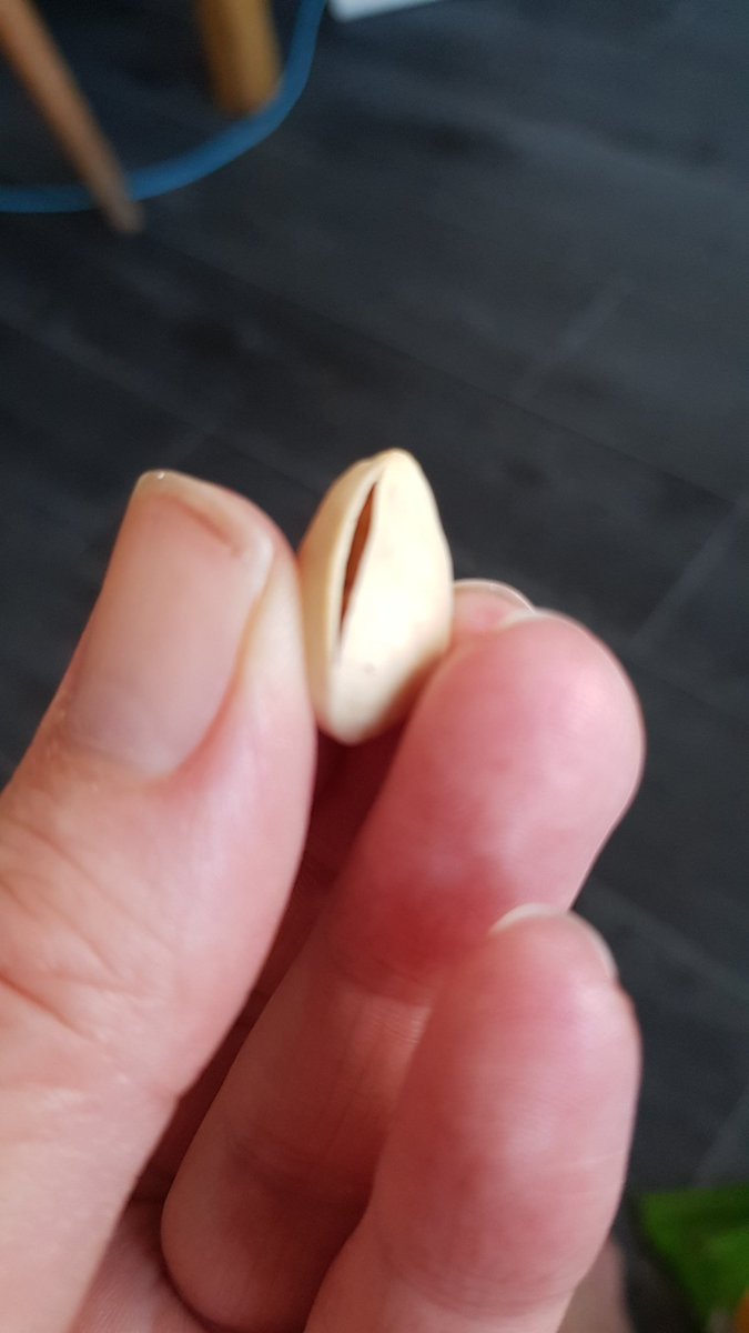 JoTee76's tweet photo. Pistachios like this π€¬ #badnut #roguepistachios #why https://t.co/gTaQlC4zDN