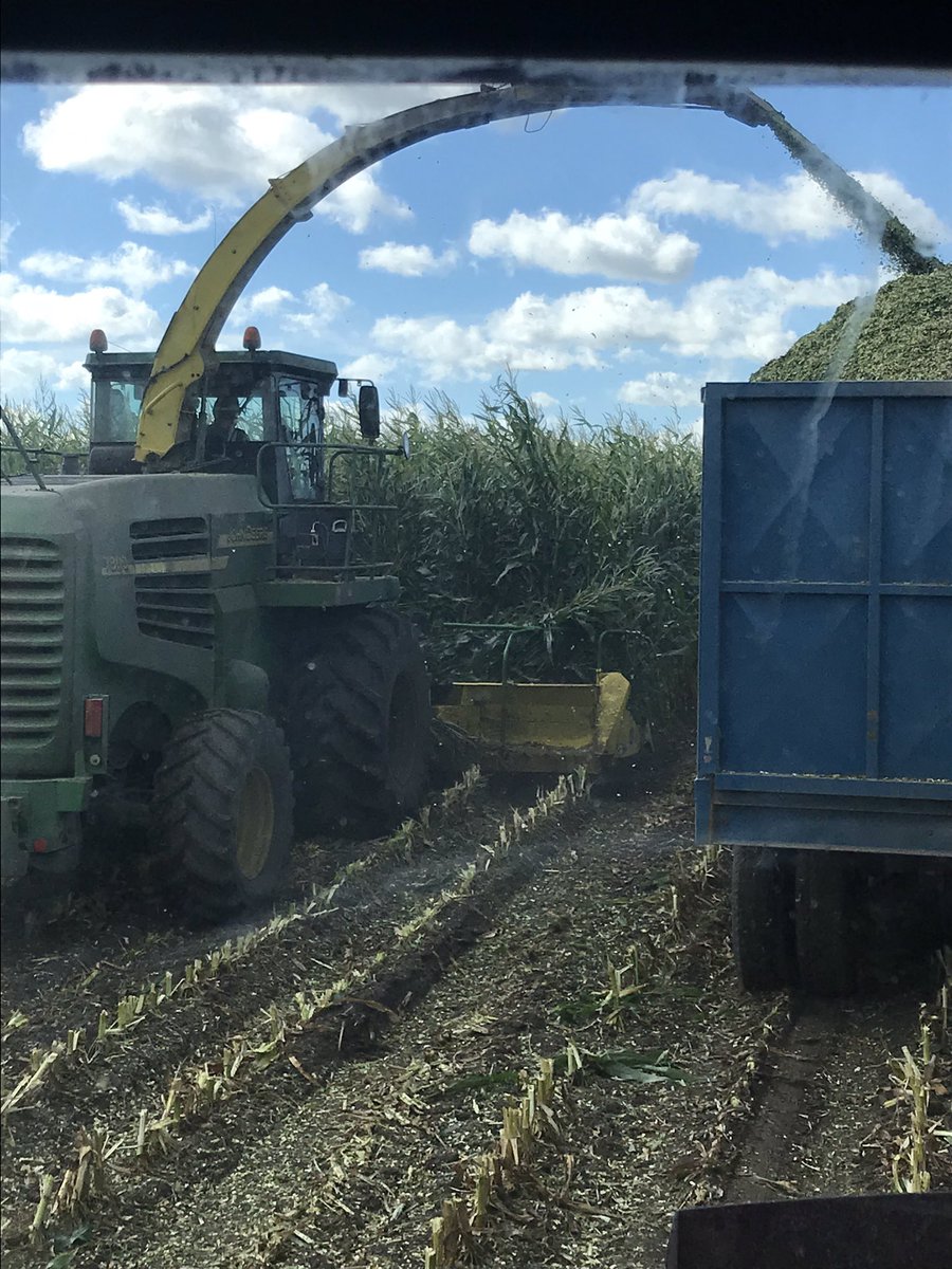 BrandonPeters85's tweet photo. @REA_Hybrids 5R780 performing well once again https://t.co/Q9MxgUSPcY