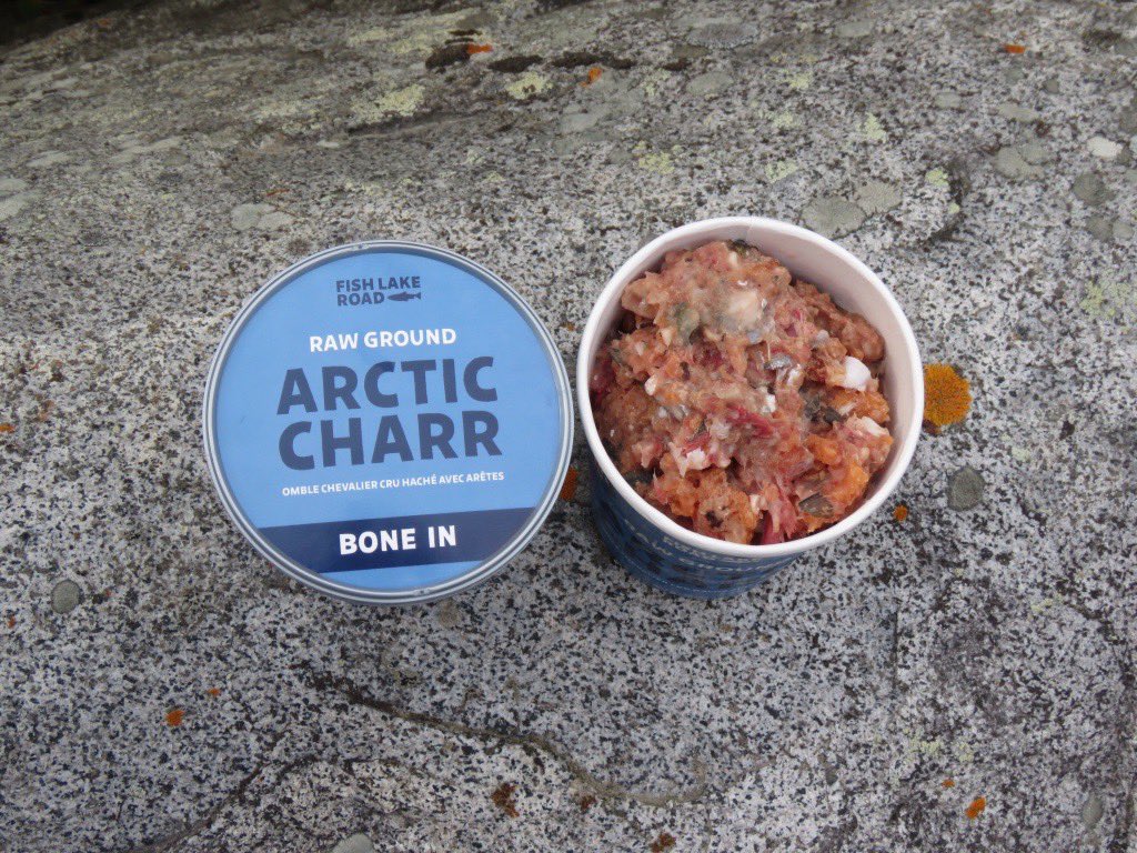 icywaterscharr's tweet photo. EXCITING NEWS!  At today’s @fireweedmarket, we are launching a brand-new product for the canine member of your family… raw ground Arctic Charr!  Stop by to pick up a tub at a great introductory price, as the #Whitehorse community is the first one to try it. #arcticcharr https://t.co/F0v2SEIN4i