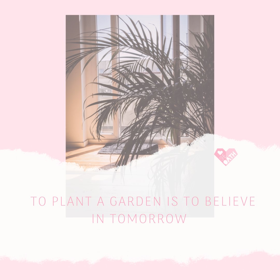 sheoathuk's tweet photo. Happy Pre-Friday!
You almost made it through another week๐ซHave some reflection time of how this week has been so far and maybe start thinking about the seeds you want to plant next week๐
#SheOathSaidIt
#Hope
#Believe
#Garden
#SheOath
#Socent
#CSR
#QOTD
#Causes
#DoGood
#CIC https://t.co/gGUDPZLQiO