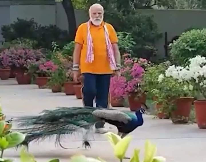 Jai ho modi ji 🙏🌺